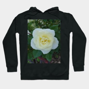 Yellow rose Hoodie